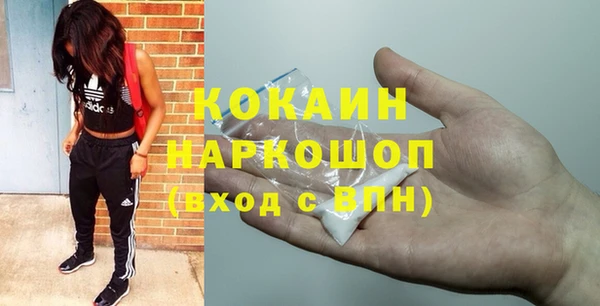 прущие грибы Абинск