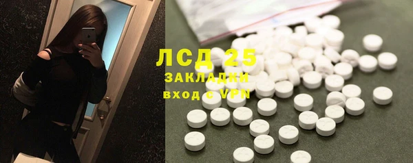 прущие грибы Абинск
