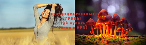 скорость Алексин