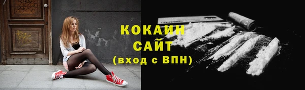 прущие грибы Абинск