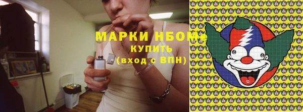 прущие грибы Абинск
