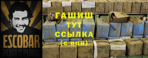 прущие грибы Абинск